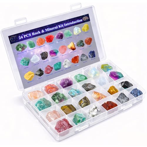 24 Pcs Raw Crystals and Healing Stones with Plastic Storage Box Purple