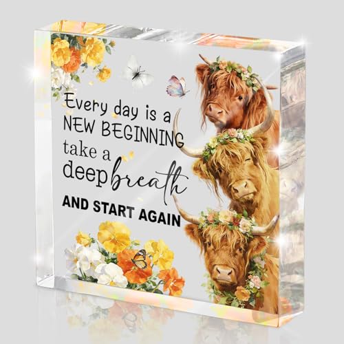 Highland Cow Christian Acrylic Sign, Every day is a New Beginning