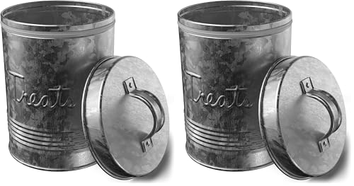 Amici Pet, Retro Treats Galvanized Relief Lettering Metal Storage Canister, Food Safe, Push Top, 72 Ounces (Pack of 2) Large/72 oz (Pack of 2)