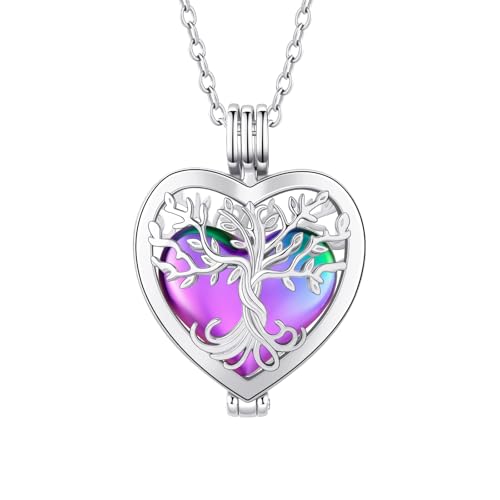 Openable Heart Cremation Urn Necklace for Ashes Stainless Steel Memorial Ash Pendant Keepsake Jewelry Cremation Jewelry for Women Silver-Colorful