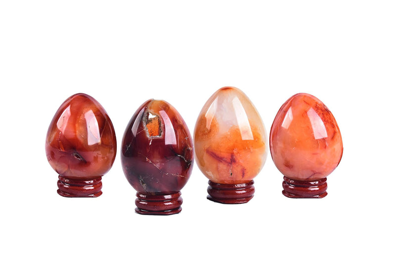 AMOYSTONE Red Agate Eggs Set of 4 (Polished Banded Agate) - Natural Gemstone Specimens with Wooden Base for Display & Collection (1.5-2 Inch, 2.8 oz) 1.5-2 Inch Red Agate Mini