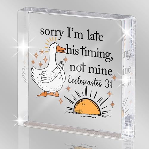 Christian Acrylic Desk Decor, Inspirational Desk Sign, Mental Health Gift Sorry