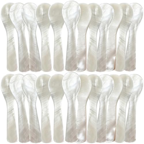 ThougrLyh Mother of Pearl Spoon 24pcs 3.54in Caviar Spoons for Food Parties 24