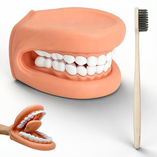 Dental Model Teeth Model, Tooth Mouth Model with Toothbrush, Mouth Hand Puppet with Tongue for Children, Mouth Puppet for Speech Therapy, Demonstration Anatomical Tooth Model for Dental