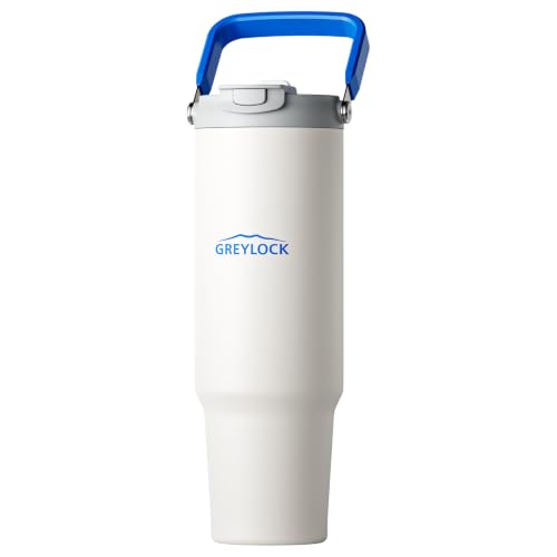 40 oz Insulated Tumbler with Top Handle, 2-in-1 Flip Straw & Spout Lid White 40.0 ounces