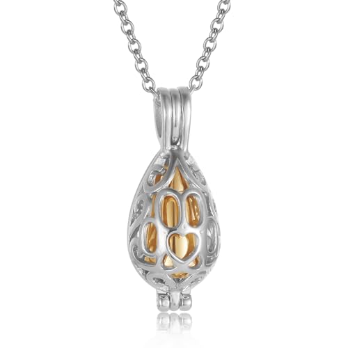 Dog Paw Stainless Steel Cage Cremation Locket Necklace Hold Pet Ashes Keepsake Memorial Urn Jewelry For Women Men With Gold