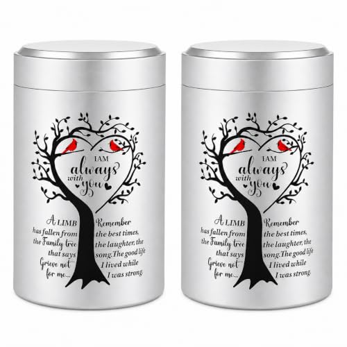 Set of 2 Small Urns for Human Ashes Keepsake, 3.62 Inch Mini Cremation Urns for Human Ashes, Memorial Funeral Sharing Keepsake Urns Set with Two Cardinal Birds, Silver 2 Pack - Heart-Silver