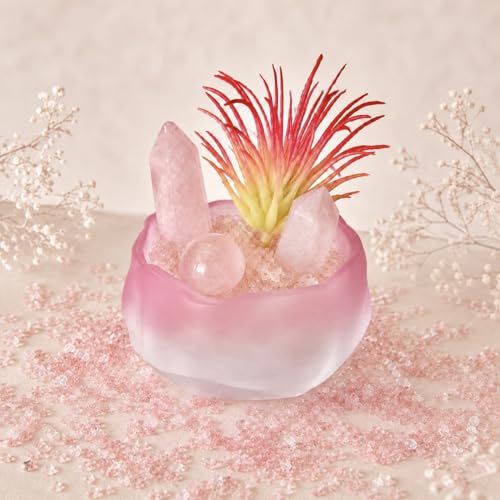 Natural Crystal Healing Stones Set with Point & Sphere-Mini Pink