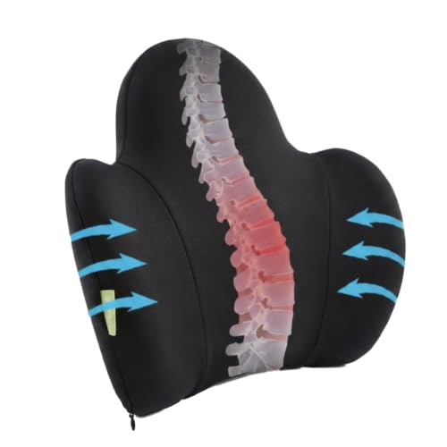 Lumbar Support Pillow for Office Chair, Gaming Chair, Car Driver Seat Back Cushion, Bed & Couch, Gifts for Friends and Parents,Ergonomic Back Support Pillow with Comfortable Memory Foam(Black)