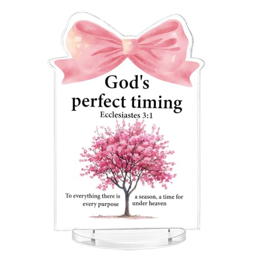 Pink Desk Accessories - Religious Gifts for Women - Ecclesiastes 3:1 Bible Verse Acrylic Desk Sign for Home Office M58A13