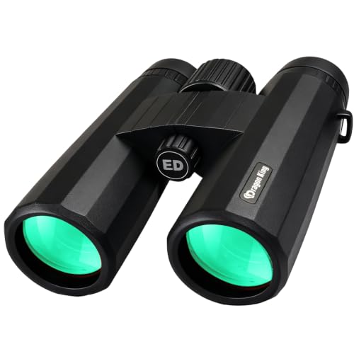 BIBIRE 10x42 Binoculars for Adults, High Powered Compact Binoculars Black