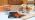 SpeTool UP&Down Compression Spiral Flush Trim Router Bit 1/4 Inch Shank 1/2 Inch Cutting Diameter Extra Long with Bottom Bearing, Solid Carbide Pattern Flush Trim Router Bit for Cutting Uncoated 1/2" Dia-1-1/4" CL-1/4" Shank
