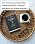 The Intentional Father: A Practical Guide to Raise Sons of Courage and Character | Parenting Boys for a Dad to Be, Grandpa, or Husband | Gift for Christian Men