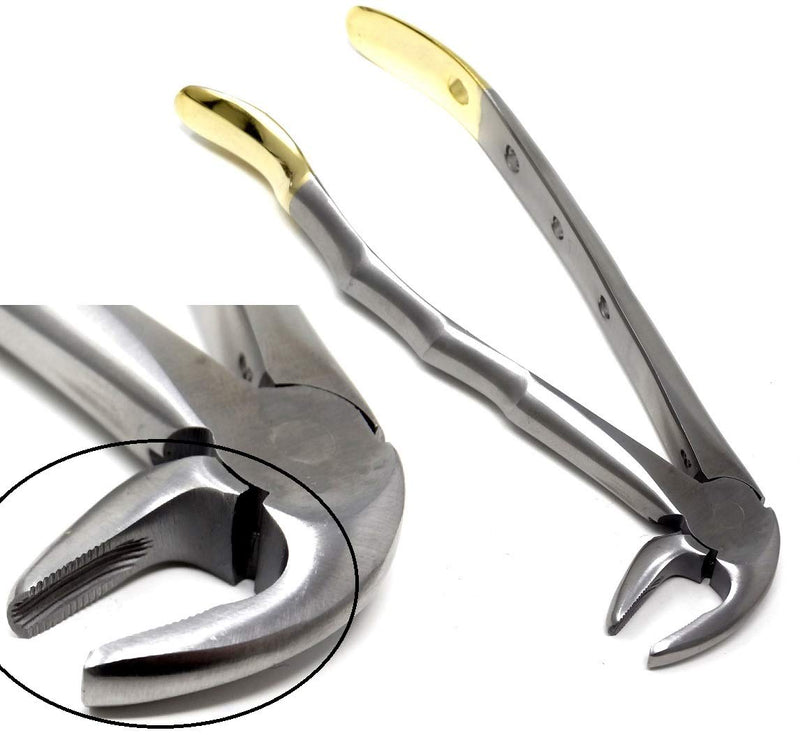 [Australia - AusPower] - Dental Extracting Extraction Serrated Forceps Mead MD3, for Lower incisors, cuspids, bicuspids and Roots, Premium Quality Gold Handle, Stainless Steel 