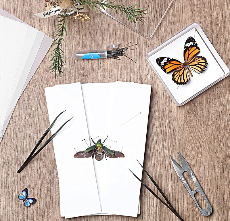 [Australia - AusPower] - Making Insect Specimen Tools Kit, Insect Pins,Insect Pinning Board, Wings Pressing Paper,Tweezers, Scissors, Insect Display Case, Insect Collection for Bug Hobbyist/Biology Projects 