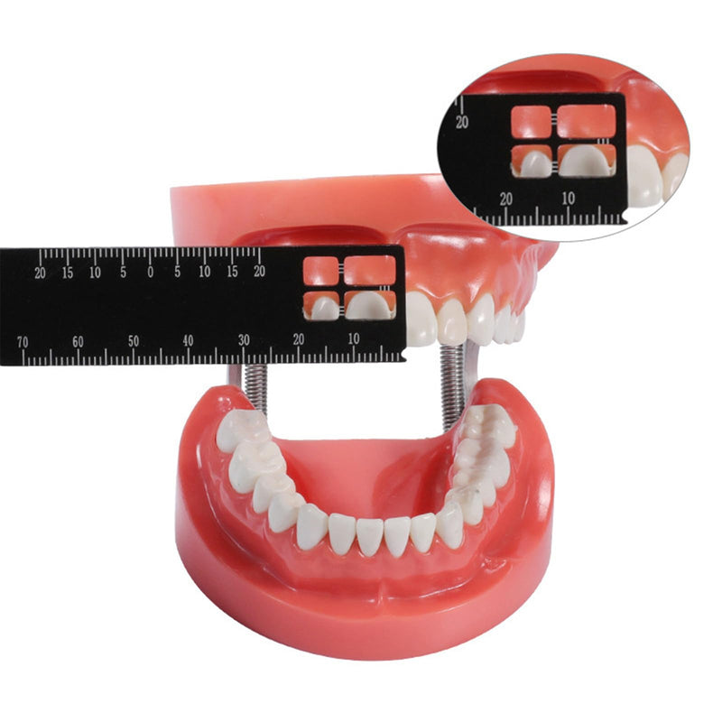 [Australia - AusPower] - Professional Dental Precision Measuring Ruler, Black Stainless Steel Endodontic Scale Tool Instrument, Small Handheld Metric Scaling Measurements for Accurate Dental Assessment Care 