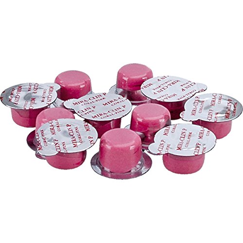 Professional Polishing Paste for Teeth 10 x 2g Paste, Dental Polish Prophy-Paste
