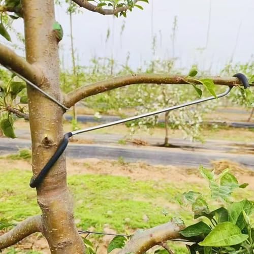 Fruit Tree Branch Spreader 20 Pack Versatile and Durable Solution for Tree Supports Branches Extension (10 Inch) 10"