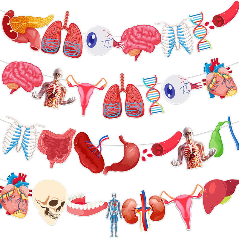 4 Strings 28 Pieces Anatomy Themed Hanging Banners, Human Body Parts Learning Cutouts Garland for Classroom Decoration, Science Party Supplies, School Supplies and Doctor Office Decoration