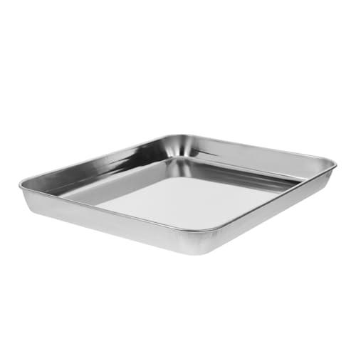 Stainless Steel Instrument Tray 31 x 24 x 2.5 cm Without Cover Medical Tray for Medical Instruments Clinic and Laboratory