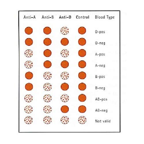[Australia - AusPower] - Eldoncard INC Rapid Blood Type Test (2 COMPLETE KITS) - Air Sealed Envelope, Safety Lancet, Micropipette, Cleansing Swab 