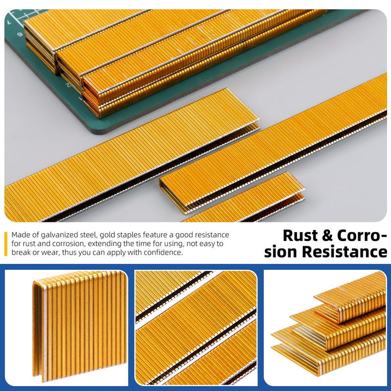 [Australia - AusPower] - Glarks 2000Pcs 18 Gauge Narrow Crown Staples, 1 Inch Galvanized Crown Narrow Staples Assortment Kit for Electric Stapler, Pneumatic, DIY Home Improvement (Gold) k425 