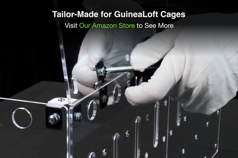 [Australia - AusPower] - GuineaLoft™ H2 Hinge Set - 2-Hole Hinge Set w/ 6 Hinges and 12 Screws - Guinea Loft Exclusive 