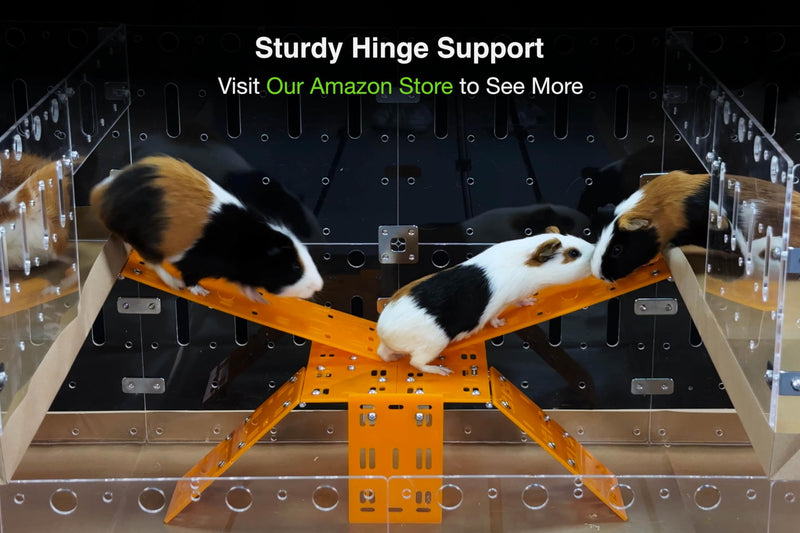 [Australia - AusPower] - GuineaLoft™ H2 Hinge Set - 2-Hole Hinge Set w/ 6 Hinges and 12 Screws - Guinea Loft Exclusive 