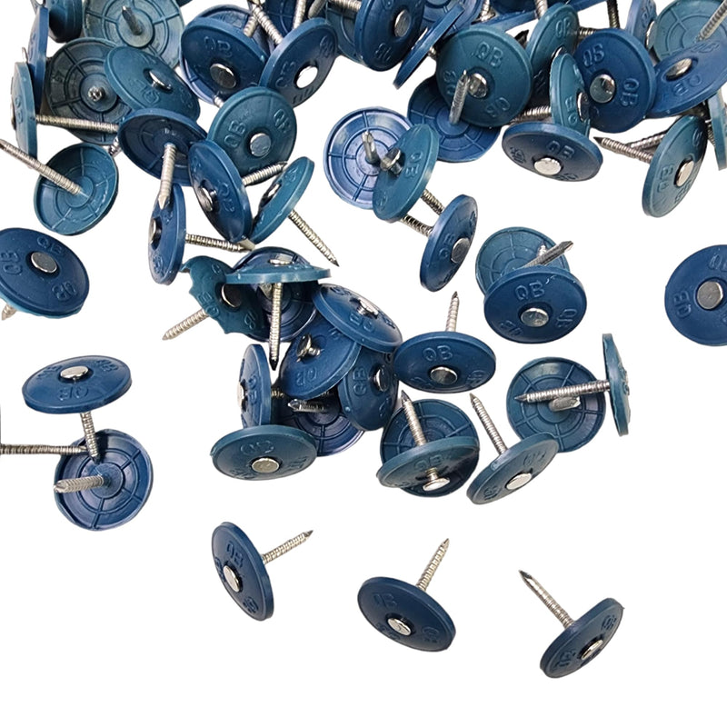 [Australia - AusPower] - (250 Pack) Round Plastic Cap Nail 1 Inch Roofing Nails Galvanized Tar Paper Nails for House Wrap Fastening Foam Board Roofing Felt Insulation Film (250) 250 