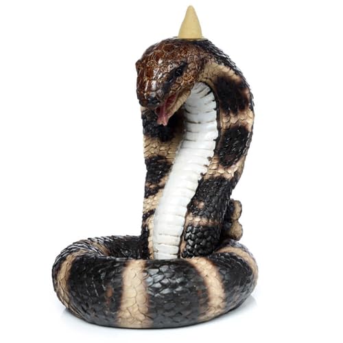 Puckator Coiled Cobra Snake Backflow Incense Burner - Home Zen Meditation Decor Accessories - Incense Waterfall Cone Burner - Spiritual Feng Shui Gothic Goth Relaxation Gifts Gift - Desk Ornaments