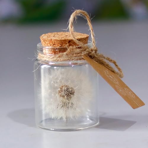 Shirene Real Dandelion In A Glass, Dandelion Gift Handmade Spiritual Gifts For Women, Girlfriend, Birthday, Mother's Day, Mum, Kids, Best Friend
