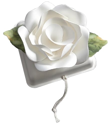 Biodegradable Urn Eco Burial Urns Biodegradable Water Urns Cremation Ocean Scattering Floating Urn for Human Ashes (M) M