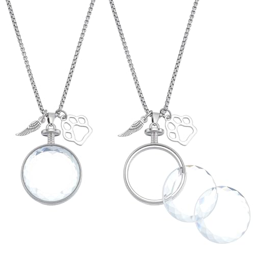 NBEADS 2Pcs Pet Fur Jewelry Keepsake Necklace, Pet Ashes Memorial Keepsake Urn Flat Round Locket Pendant Necklace with Glass Cabochons for Dog Cat Portrait Memorial Jewelry Gift, Platinum