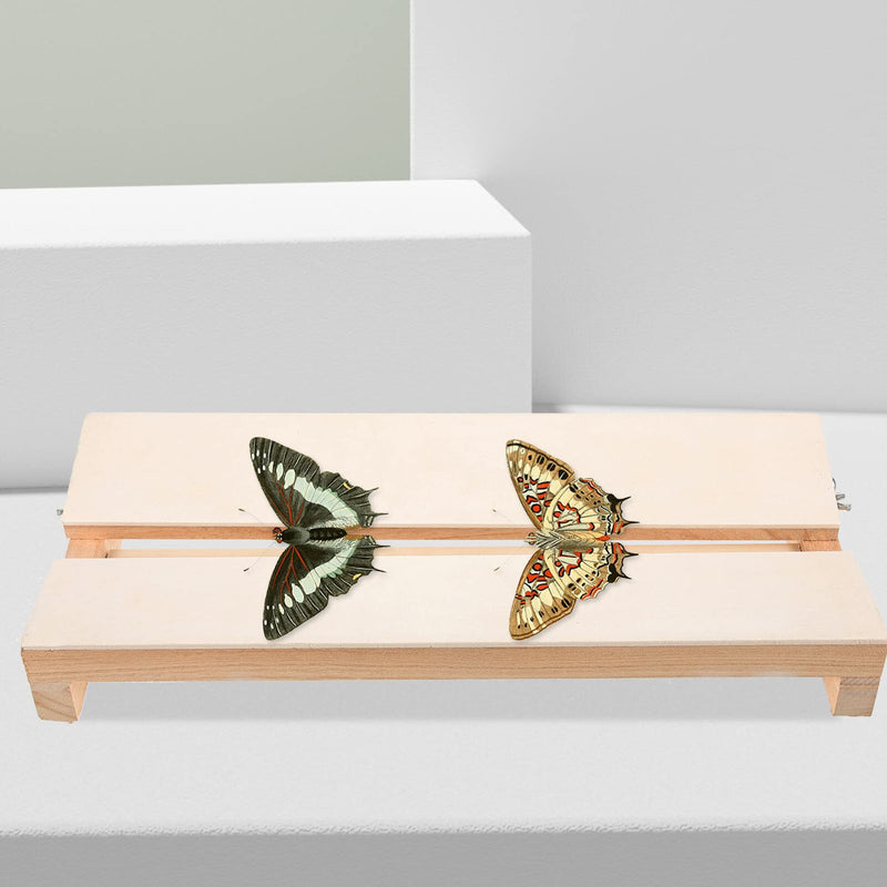 [Australia - AusPower] - Yardwe Specimen Display Board Pinning Board Adjustable Labs Boards Butterfly Mounting Specimen Spreading Wings Board for Science Education 