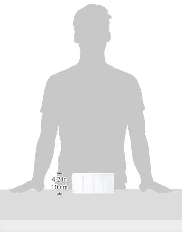 [Australia - AusPower] - Ultra Pro Ultra PRO mens 2-Piece Box All Team 4 Compartment Clear 