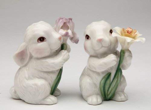 [Australia - AusPower] - Appletree Designs Cosmos 10588 Salt &amp Pepper Shaker, 1 3/8&quot X 2 7/8&Quoth, White 