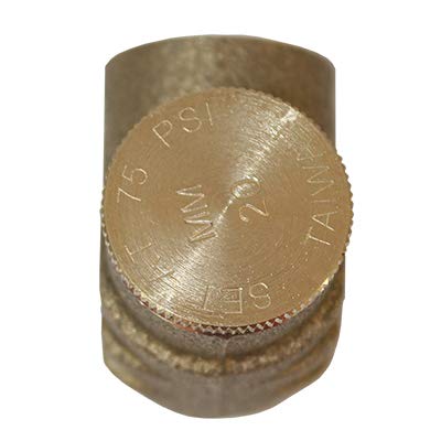 [Australia - AusPower] - Merrill MFG PRVNL50 1/2" No-Lead Pressure Relief Valve, Metal 
