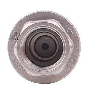 [Australia - AusPower] - DERPIPE 3/4 Inch Vertical Check Valve SUS304 Spring Loaded Check Valve in-line Low Cracking Pressure CF8M WOG 1000 0.75 Inch 