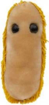 [Australia - AusPower] - GIANTmicrobes Stomach Ache Plush - Learn About Microbes and Health, Fun Educational Gift for Family, Friends, Doctors, Nurses, Educators and Anyone with a Healthy Sense of Humor 