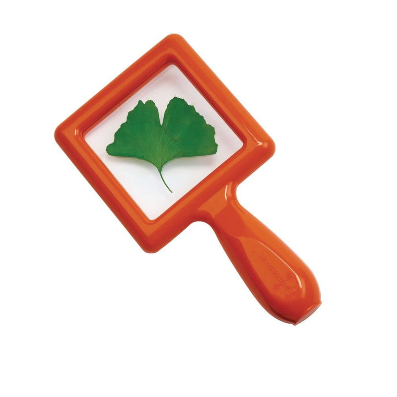 [Australia - AusPower] - Environments Toddler Specimen Viewers Set of 4 (Item # SPECISEE) 