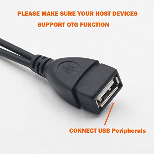 [Australia - AusPower] - AuviPal 2-in-1 Micro USB to USB Adapter (OTG Cable + Power Cable) for Fire Stick, Playstation Classic and More - 2 Pack 1 USB Port 