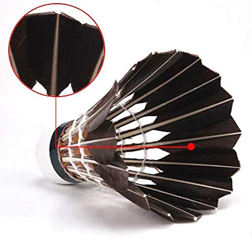[Australia - AusPower] - ZHENAN 12-Pack Advanced Feather Badminton Shuttlecocks Birdies with Great Stability and Durability, Shuttlecocks Indoor Outdoor Sports Hight Speed Training Badminton Balls 