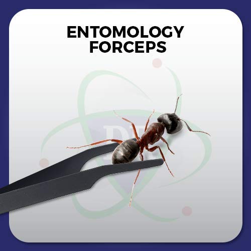 [Australia - AusPower] - DR Instruments Entomology Forceps, Set of 2, for Delicate Entomology Work. Flexible Stainless-Steel - Bend & Re-Bend (Black Caoting) Black Caoting 