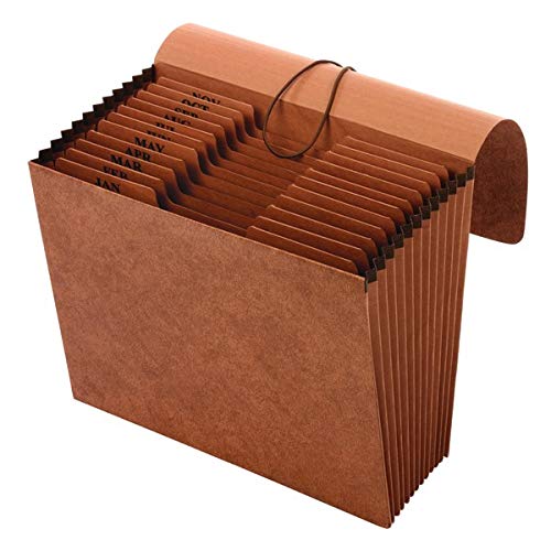 [Australia - AusPower] - [IN]PLACE Expanding File with Flap, Letter, Jan-Dec, 12 Pockets 