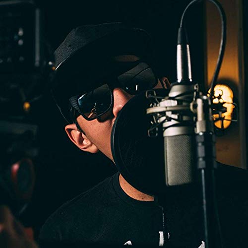 [Australia - AusPower] - Dragonpad USA Microphone Pop Filter, for Blue Yeti, Blue Snowball - Flexible Gooseneck Microphone Mount and Double Layer Sound Shield Guard Windscreen 