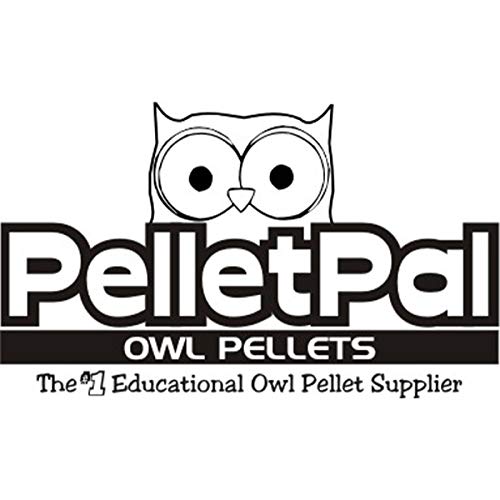 [Australia - AusPower] - Premium Barn Owl Pellets, Small: 1.25"-1.5" (Pack of 20) - Free Bone Identification Chart, Forceps, Paddle Picks, and Teaching Guide Included! 