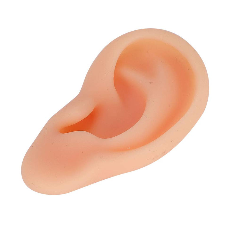 [Australia - AusPower] - DEALPEAK Professional Simulated Ear Model for Acupuncture Practice Massage Teaching Tool Artificial Display Sample (Left ) Left 