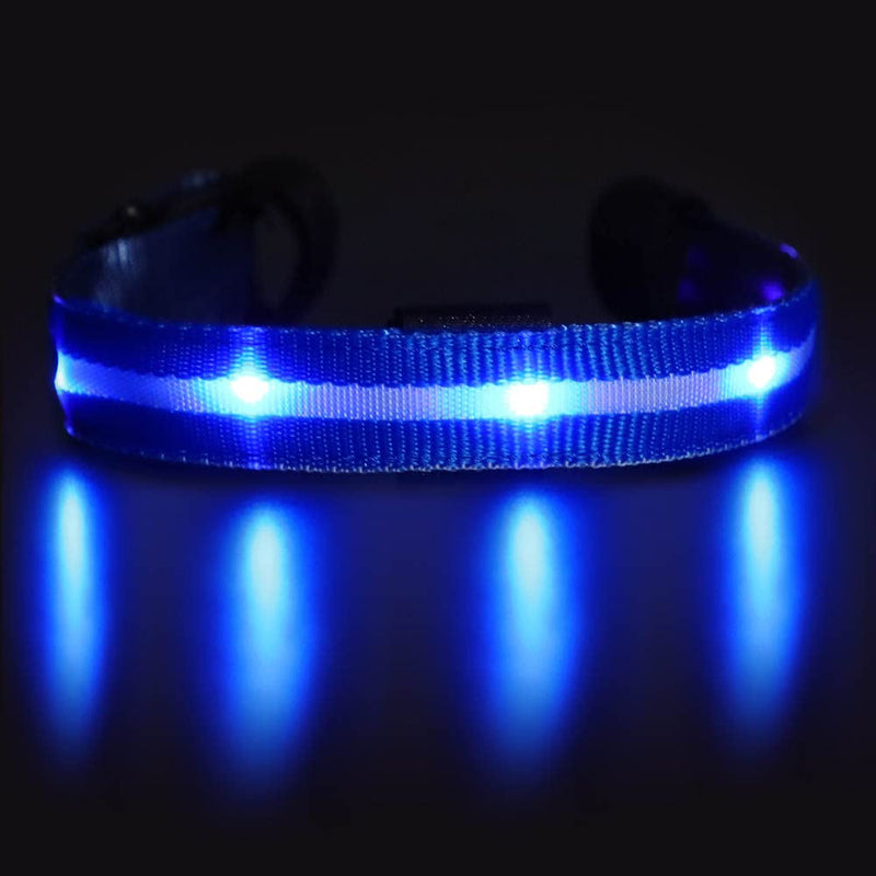 [Australia - AusPower] - LED Horse Tack Rechargeable - LED Horse Accessories - LED Horse Head Collar - Equestrian Equipment - Horse Equipment 