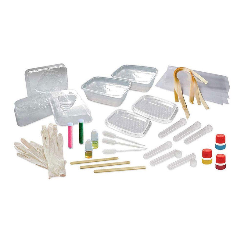[Australia - AusPower] - hand2mind Soap Making Kit Science Kit for Kids 8-12, Kids Science Kit with Guide, DIY Hand Soap, Oatmeal Soap, Scented Soap, and Dried Flowers Soap Bar, STEM Toys, 8 Science Experiments 