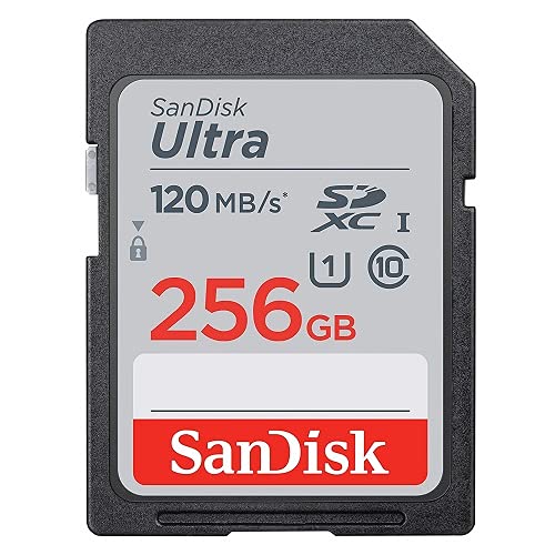[Australia - AusPower] - SanDisk SD Ultra Memory Card Works with Canon EOS M200, M100, M50, M5, M6 Mirrorless Camera (SDSDUN4-256G-GN6IN) Bundle with (1) Everything But Stromboli Micro Fiber Cloth (Class 10 256GB) Class 10 256GB 